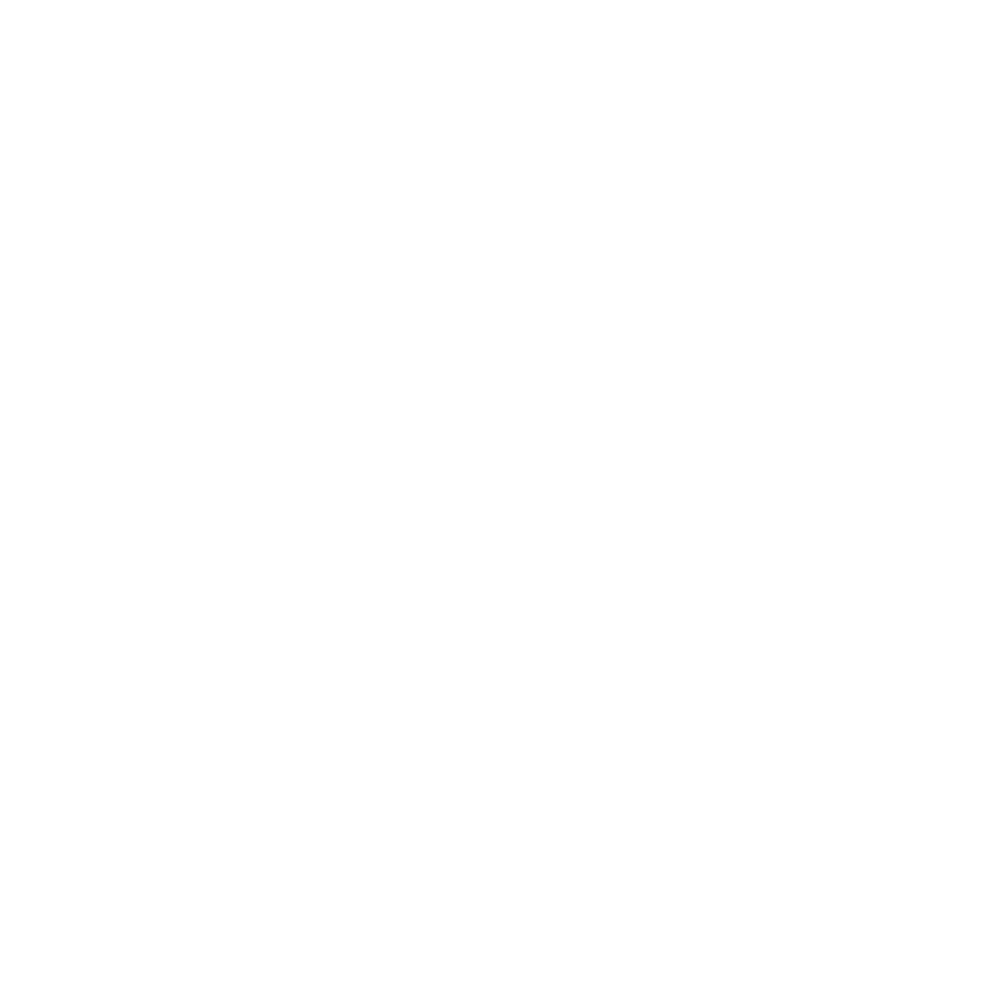 RAPYSTORE
